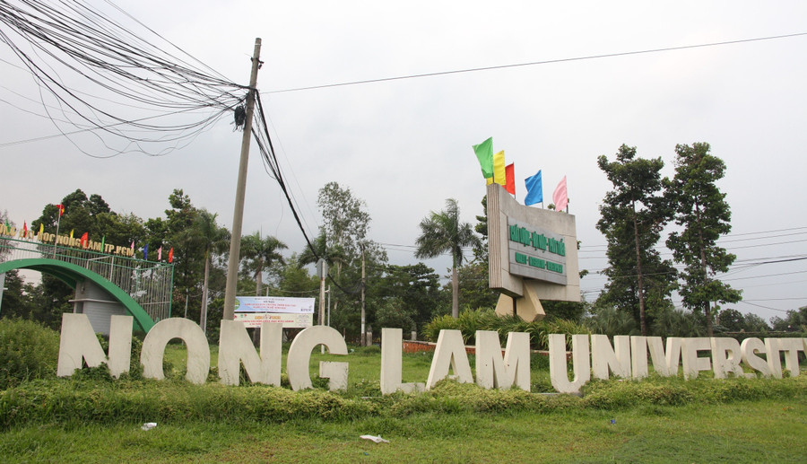 tai-cau-truc-truong-dai-hoc-cong-lap3.jpg