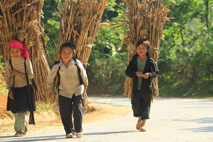 Ảnh minh họa ITN. no luc giam thieu lao dong tre em2.jpg