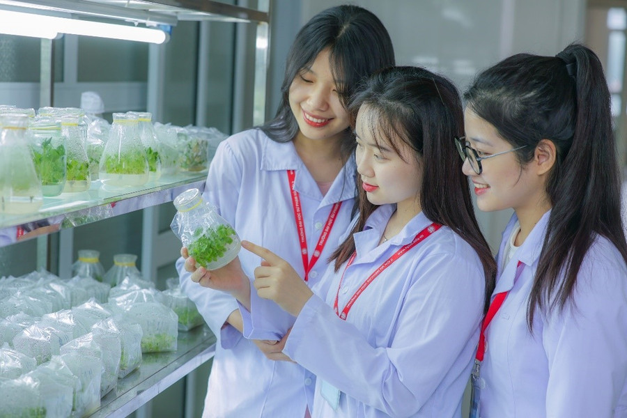 MM888 Việt Nam Tải App Trường MM888 bảo mật tuyệt đối Sư phạm Hà Nội 2. Ảnh: NTCC