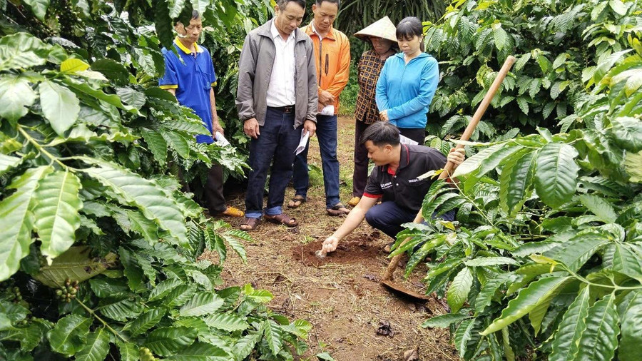 Nông dân tham gia Chương trình NESCAFÉ Plan được tập huấn phương pháp canh tác bền vững. 21.jpg