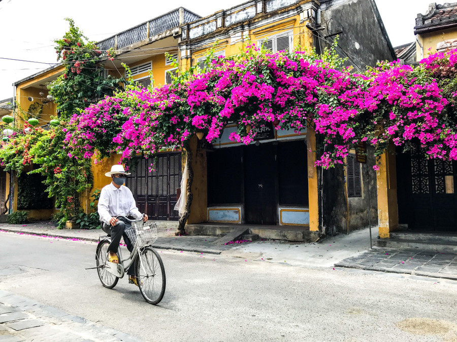 can canh con duong lot top the gioi dep nhat o hoi an (3).jpg