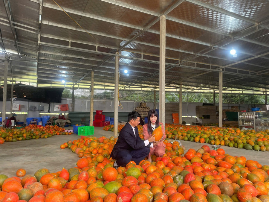 Anh Chung Thiên đường trò chơi đổi thưởng MM886 nhà xưởng, kho lạnh để chế biến gấc. 1000042518.jpg