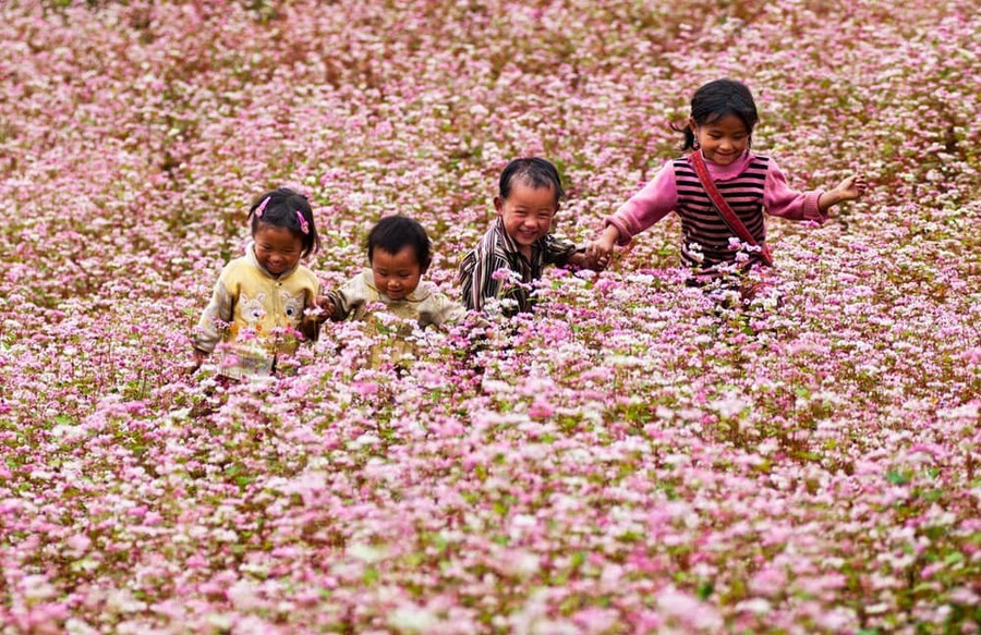 Biểu tượng sức sống mãnh liệt của con người nơi đây.