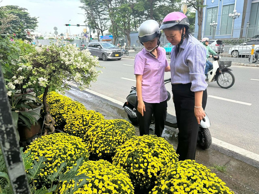 thi-truong-hoa-cay-canh-tet-1.jpg