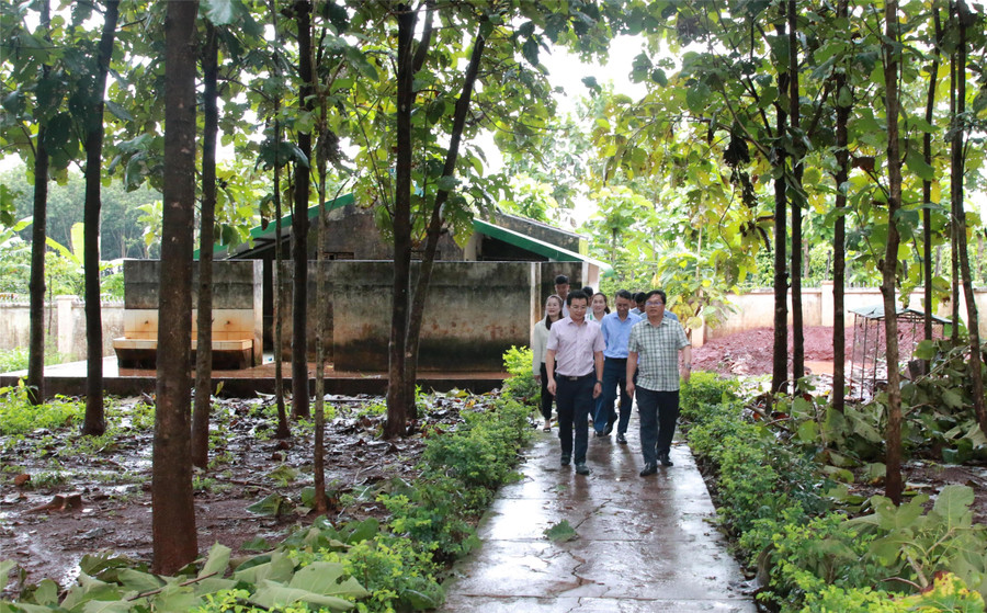 2-chon.jpg
