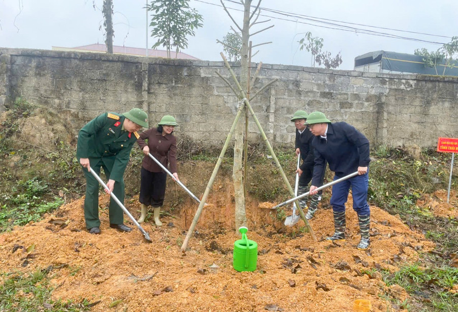 vo-tranh-trong-cay.jpg
