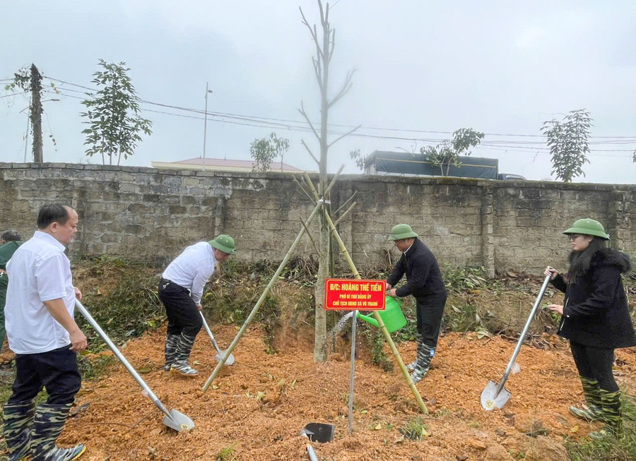 vo-tranh-trong-cay-3.jpg