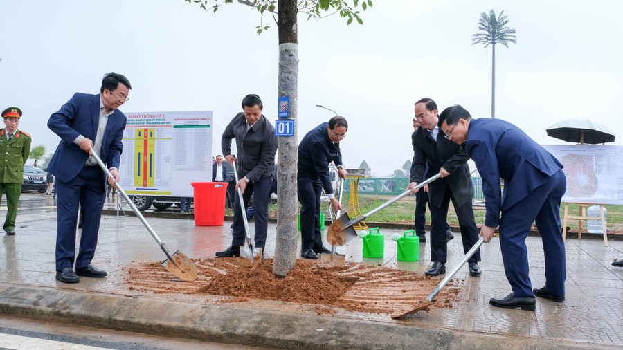 Thường trực Tỉnh ủy Thái Nguyên trồng cây hai bên đường vào sân vận động tỉnh.