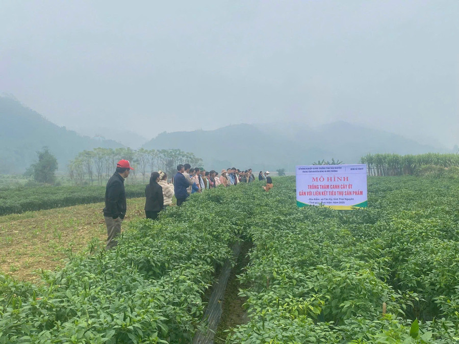 giam-ngheo-8.jpg