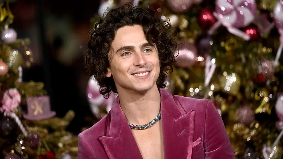 Nam diễn viên nổi tiếng Timothée Chalamet. avatar-02.jpg