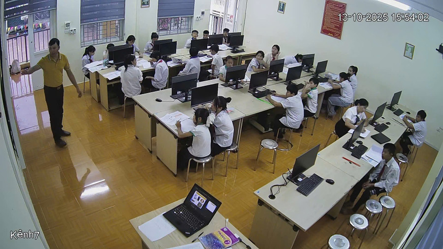 nai-1.jpg