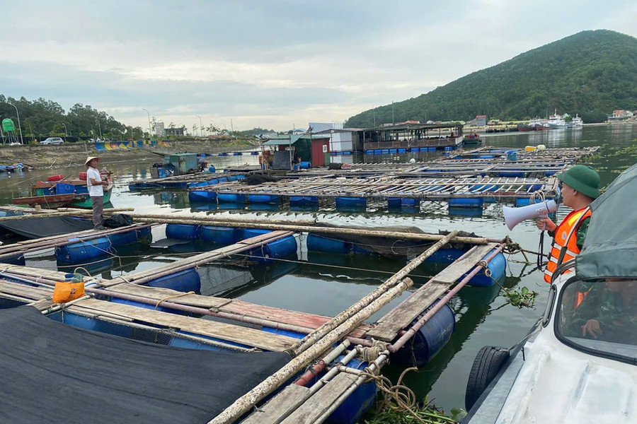 Đồn Biên phòng cửa khẩu cảng Cửa Lò - Bến Thủy hướng dẫn người dân nuôi cá lồng ứng phó bão. (Ảnh: Lê Thạch) 519420988-3353697901434705-2455882442299080759-n-8287.jpg