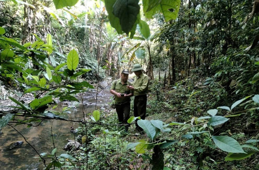Việc sử dụng công nghệ thông tin vào quản lý rừng giúp tiết kiệm thời gian, công sức cho lực lượng Kiểm lâm. z7193627359699-296af0e982d90817f114fb7eb9b7fc29.jpg