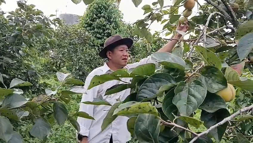 Không chỉ làm kinh tế giỏi, ông Quý còn truyền đạt kinh nghiệm cho nhiều hộ dân có nhu cầu trồng giòn thoát nghèo. z7169912379800-837d409cb5a34a4e58f06e099dda4ddc.jpg
