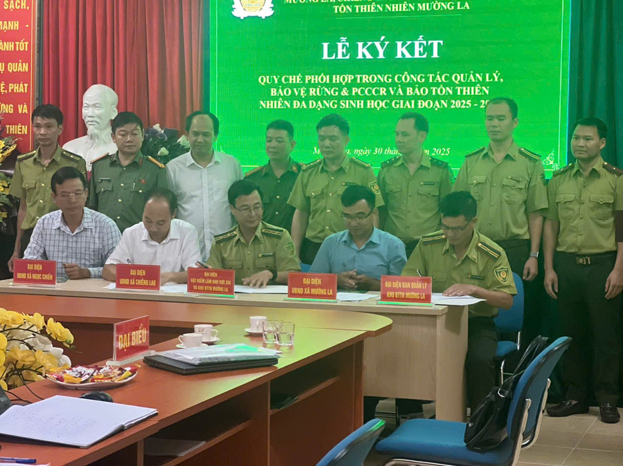 Ban Quản lý Khu bảo tồn thiên nhiên Mường La ký kết cơ chế phối hợp trong quản lý, bảo vệ rừng với các đơn vị liên quan. z7280303091282-5fa5a18014c710a9b76bfd261931a02a.jpg