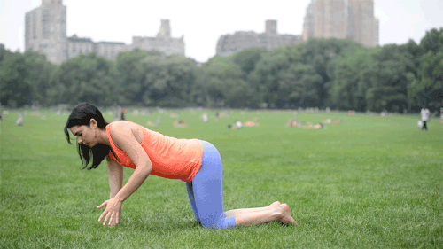 6 động tác yoga giảm đau lưng cho nhân viên văn phòng