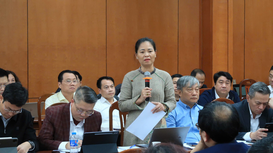 Đại biểu Trường Cao đẳng Y tế Thái Bình phát biểu ý kiến về GDNN. 29-3-td5.jpg