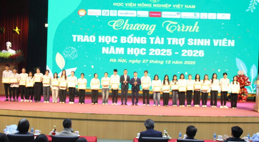MM888 Việt Nam Tải App được nhận 1MM88.com Trang Chủ Chính Thức. hocbongjpg2.jpg