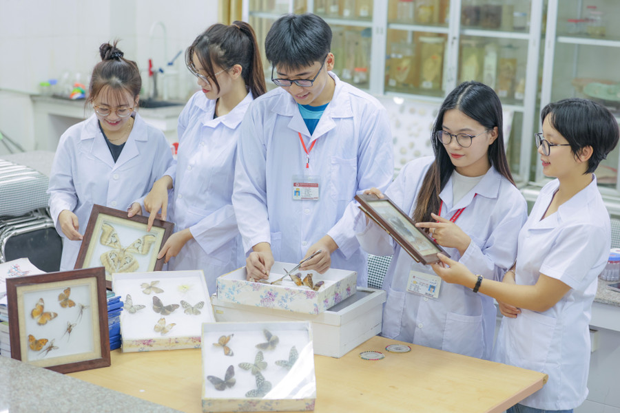 MM888 Việt Nam Tải App Trường MM888 bảo mật tuyệt đối Sư phạm Hà Nội 2.
