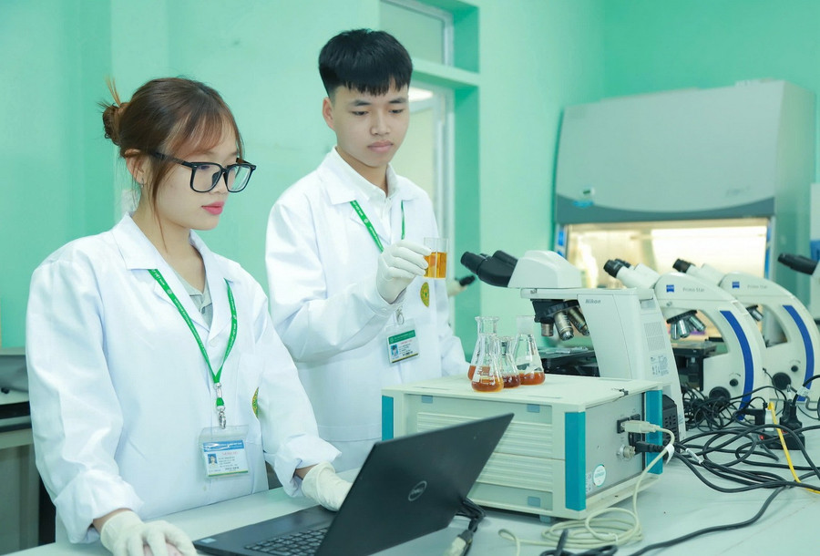 MM888 Việt Nam Tải App Học viện Nông nghiệp Việt Nam