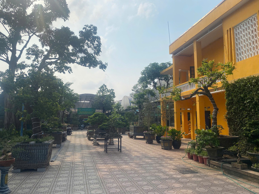 Ngành hoa, cây cảnh đang ngày càng khẳng định vai trò quan trọng trong nền kinh tế nông nghiệp và đời sống xã hội. 5.jpg