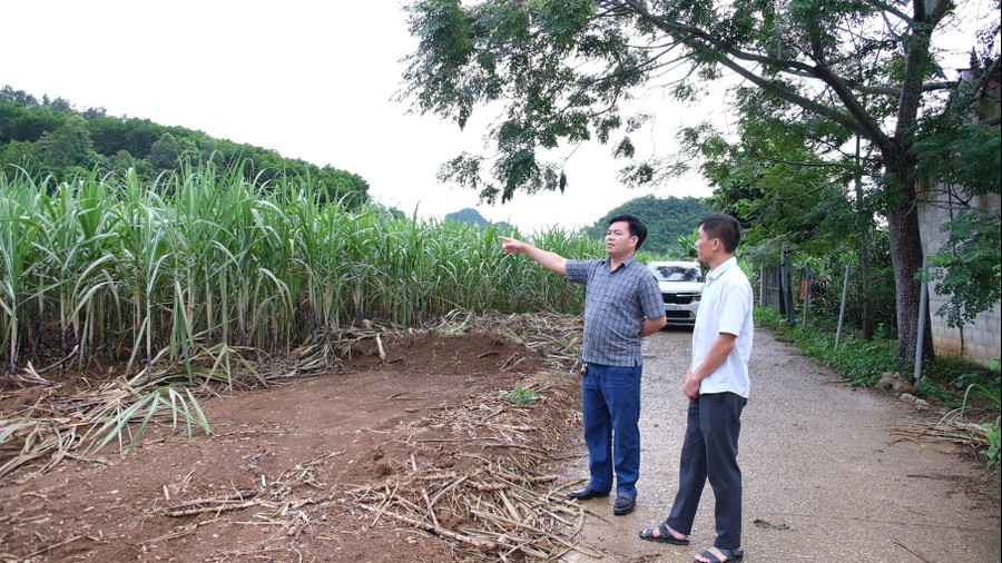 Lãnh đạo xã Phục Hòa (Cao Bằng) khảo sát khu vực dự kiến xây dựng trường nội trú liên cấp. phuc-hoa-cao-bang.jpg