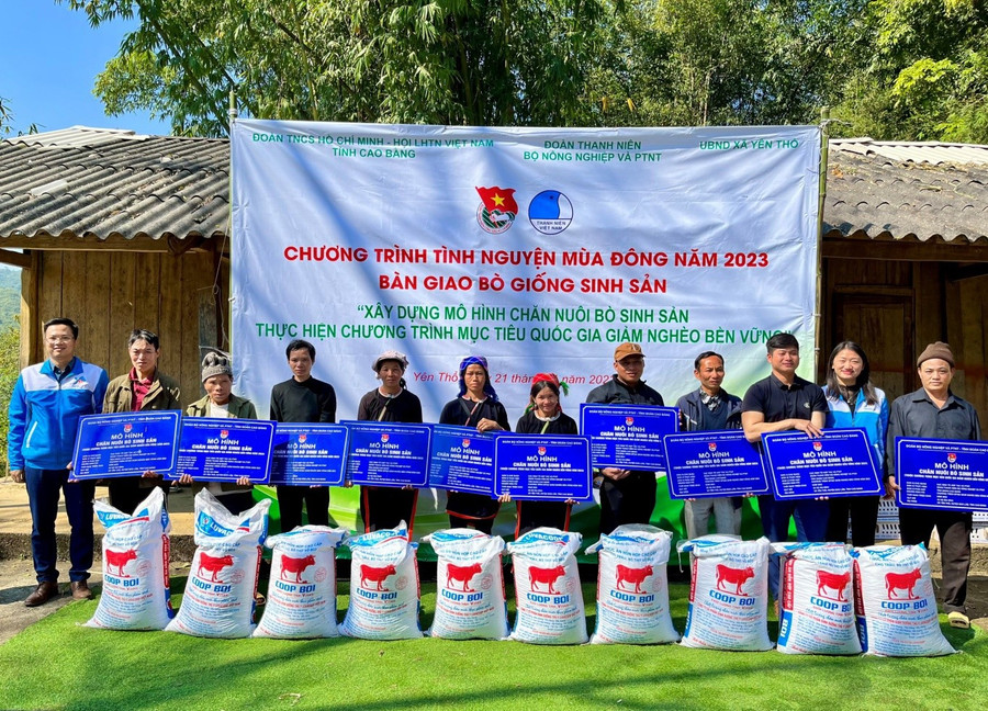 Năm 2025, tỉnh Cao Bằng phấn đấu giảm mạnh tỷ lệ hộ nghèo. pt-q.jpg