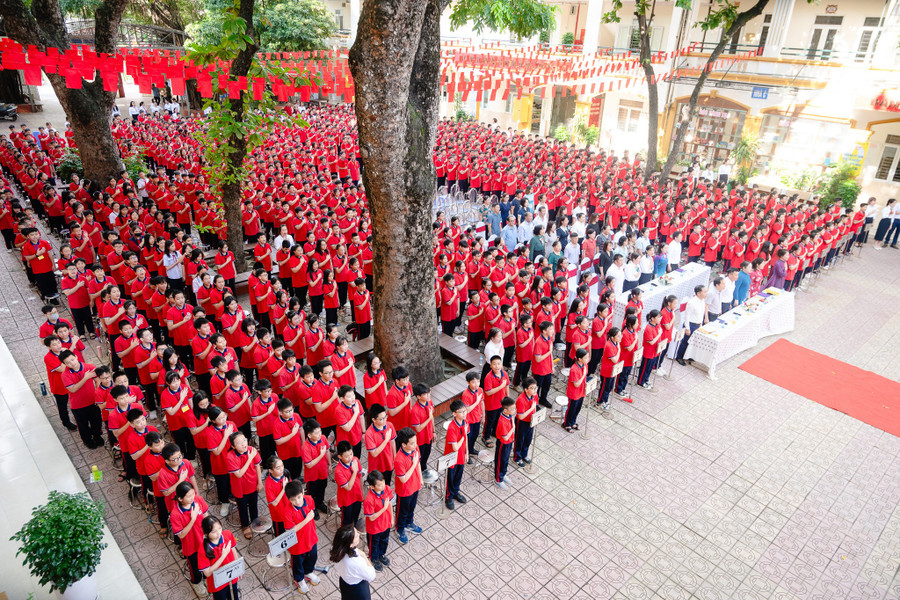 bap-1520.jpg