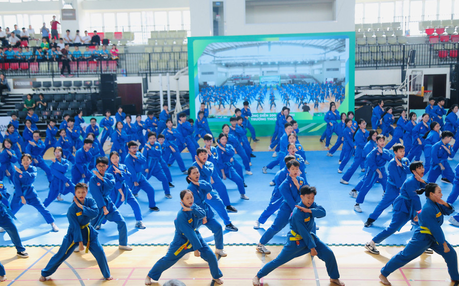 vi-vo-nam-1.jpg