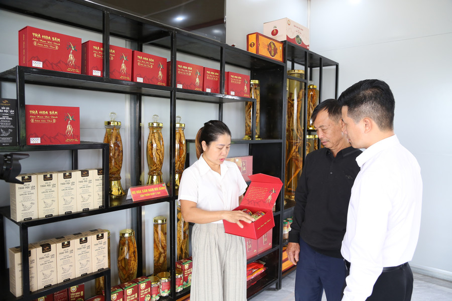 Đại diện HTX sâm nam núi Dành giới thiệu với khách hàng về sản phẩm. 1f2a8917.jpg