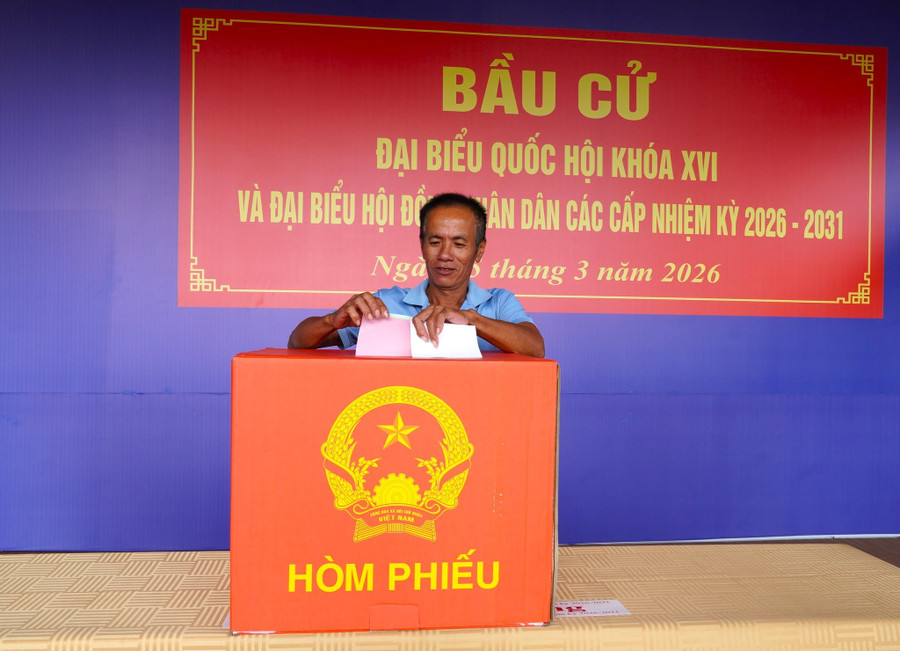 Cử tri Cà Mau tham gia bỏ phiếu MM888 bảo mật an toàn.