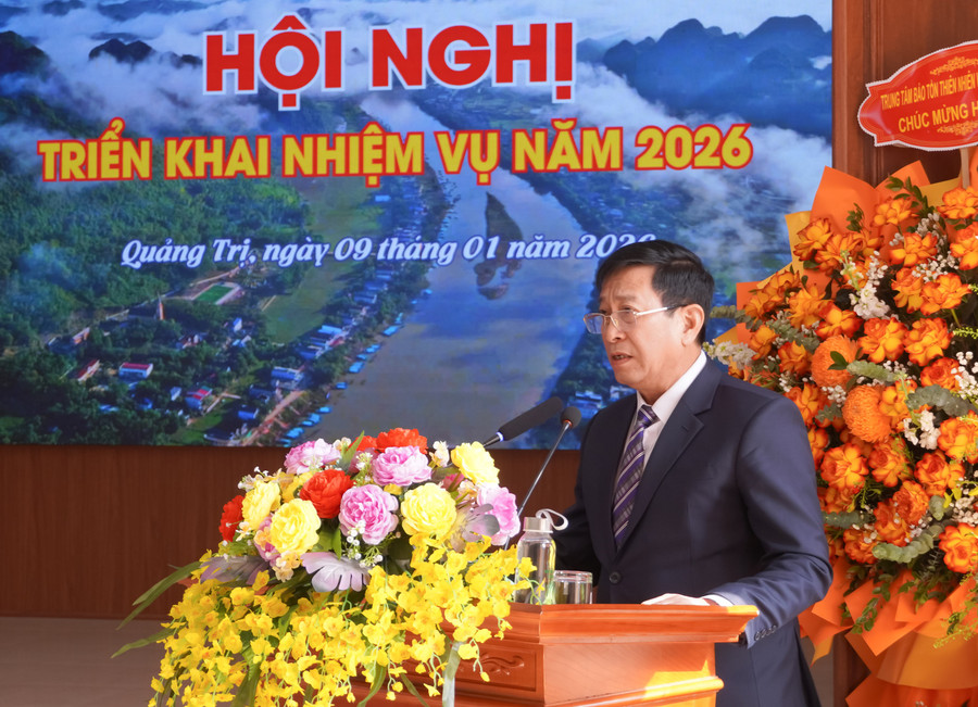 vqg-2-1.jpg