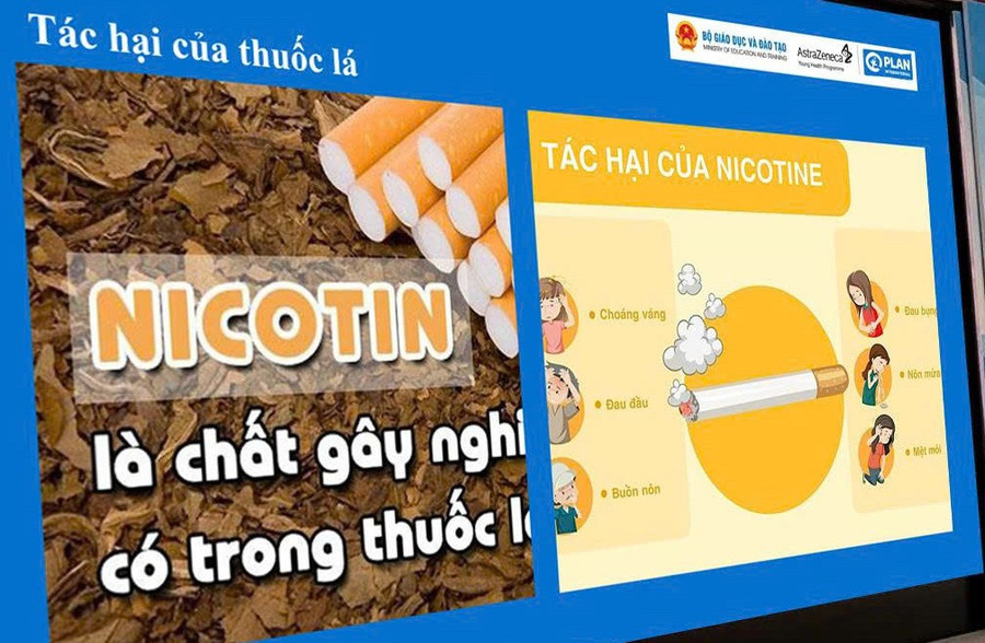 thuoc-la-4.jpg