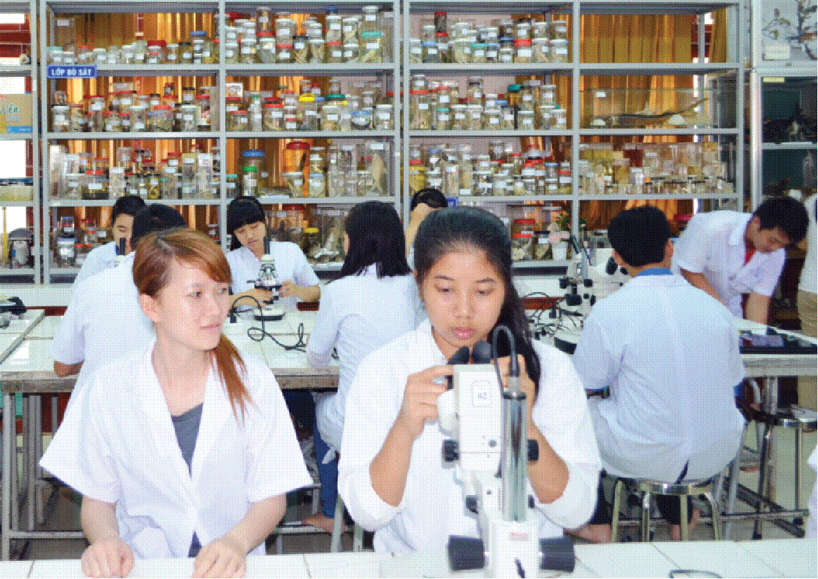 Thúc đẩy nghiên cứu khoa học trong MM888 Việt Nam Tải App Sư phạm