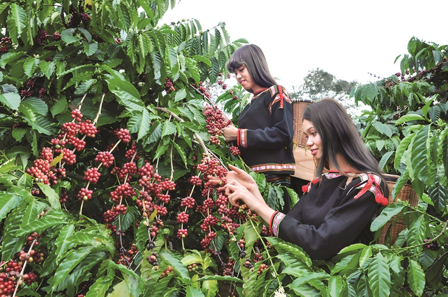 Trường hợp tỉnh, thành phố nào không tham gia xây dựng hồ sơ cần có văn bản chính thức thông báo đến Bộ VHTT&DL. Ảnh minh hoạ ITN.