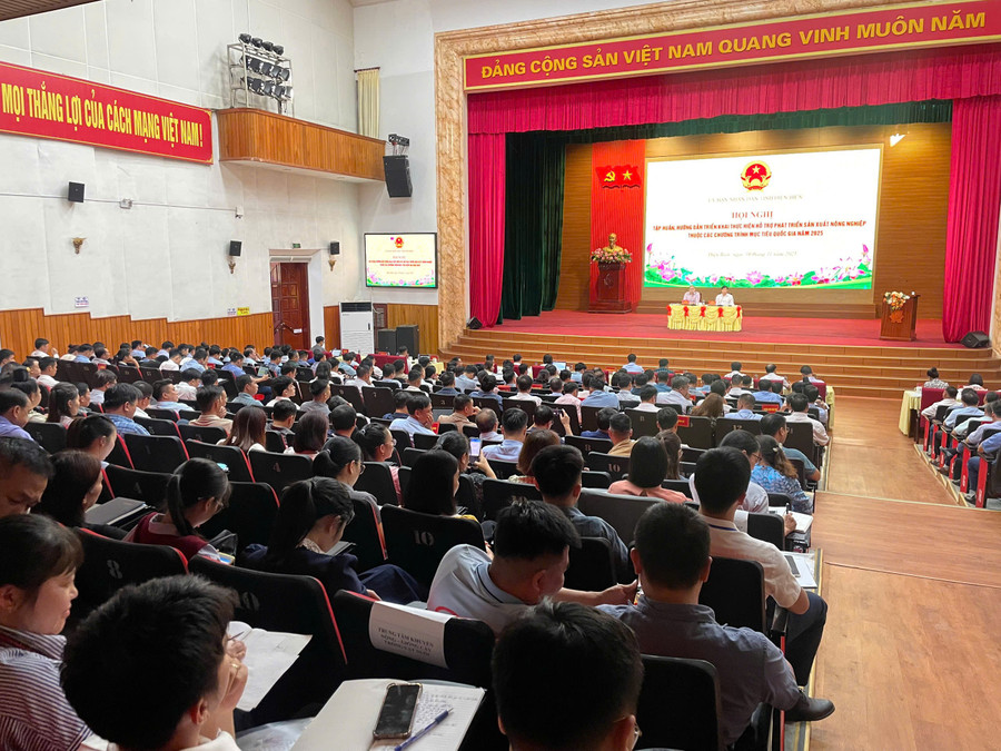 Toàn cảnh hội nghị tập huấn hướng dẫn triển khai thực hiện hỗ trợ phát triển sản xuất nông nghiệp thuộc các Chương trình MTQG năm 2025 tại Điện Biên.