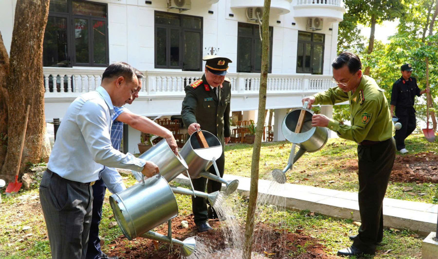 Các đại biểu tham gia trồng cây.