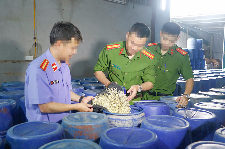 Cơ quan chức năng kiểm tra các thùng ủ giá đỗ. Ảnh: CANA noi-lo-thuc-pham-ban-3.jpg