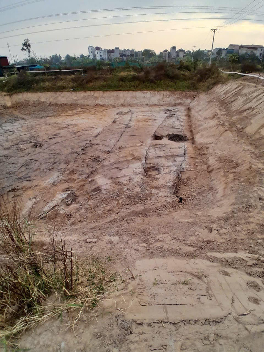 thuyen-co-luy-lau-1.jpg