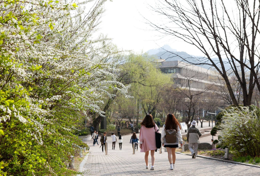 MM888 bảo mật tuyệt đối Quốc gia Seoul từ chối 2 Đăng nhập vào MM886 Việt Nam có tiền án bắt nạt.