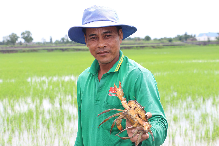 Ông Hữu Thanh Dung với mô hình trồng lúa kết hợp nuôi thủy sản. nhung-bong-hoa-dep-vung-dong-bao-dtts-1.jpg