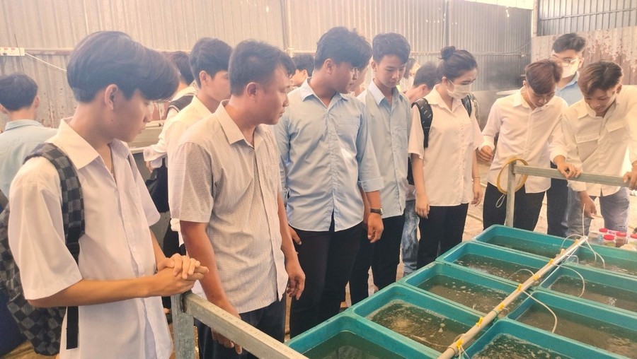 thay-giao-8x-dam-me-nghien-cuu-1.jpg