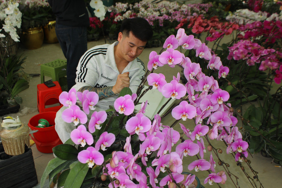 img-6867.jpg