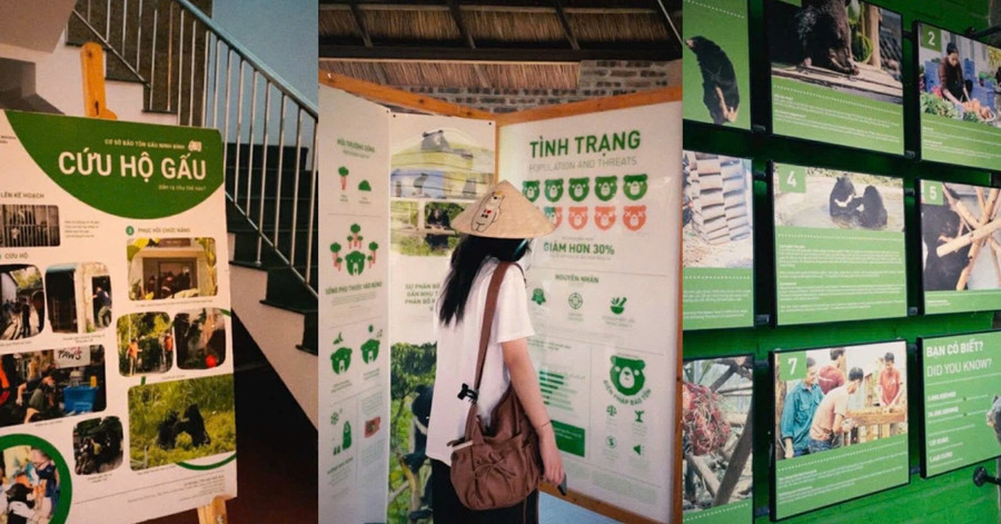 Nhóm MM888 Việt Nam Tải App tác nghiệp và trải nghiệm tại khu bảo tồn gấu Ninh Bình. unnamed-1.png