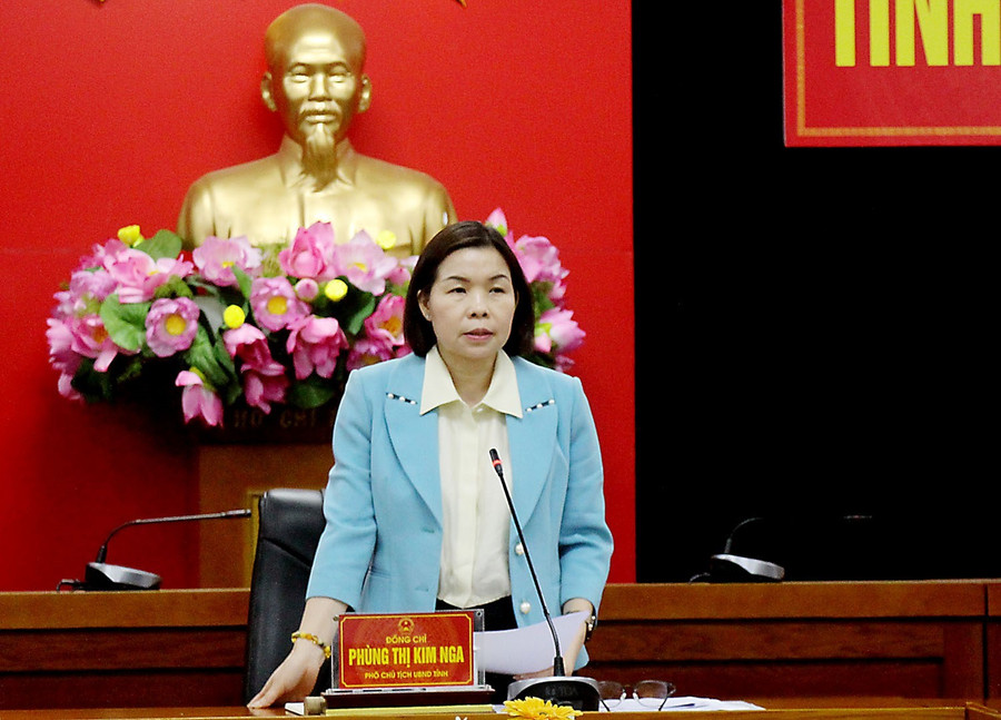 Bà Phùng Thị Kim Nga, Phó Chủ tịch UBND tỉnh Phú Thọ phát biểu tại buổi họp. b.jpg