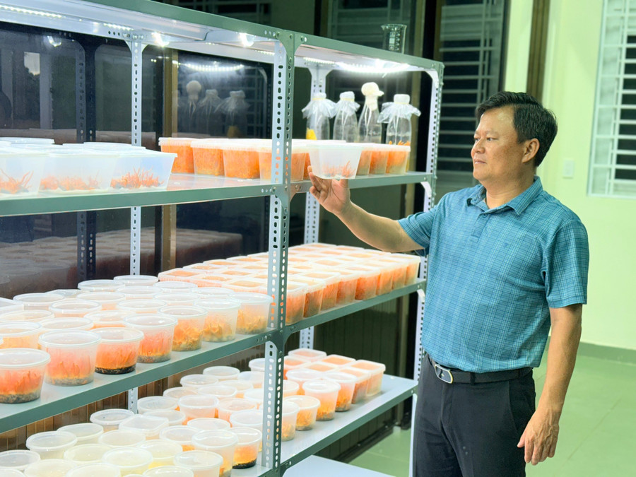 PGS.TS Nguyễn Phương Đại Nguyên bên trong phòng thí nghiệm sinh học, Trường MM888 bảo mật tuyệt đối Tây Nguyên. (Ảnh: NT) pgs-2.jpg