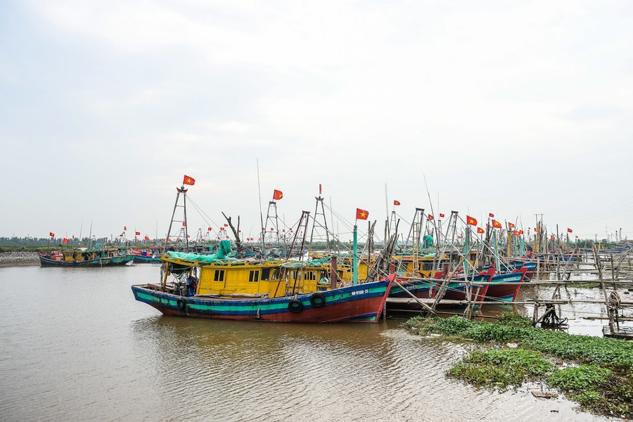 Các tàu được cố định ở cạnh nhau để tránh sóng lớn. anh-4.jpg