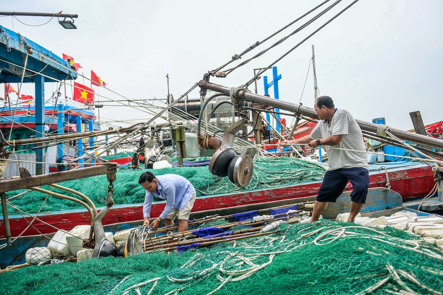 Việc chằng buộc tàu diễn ra vô cùng khẩn trương. anh-5.jpg