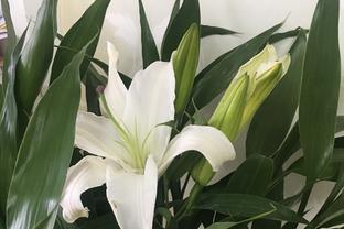 Phú Thọ: Bảo đảm an toàn, không để Đăng nhập vào MM886 Việt Nam bỏ thi vì khó khăn ảnh 4
